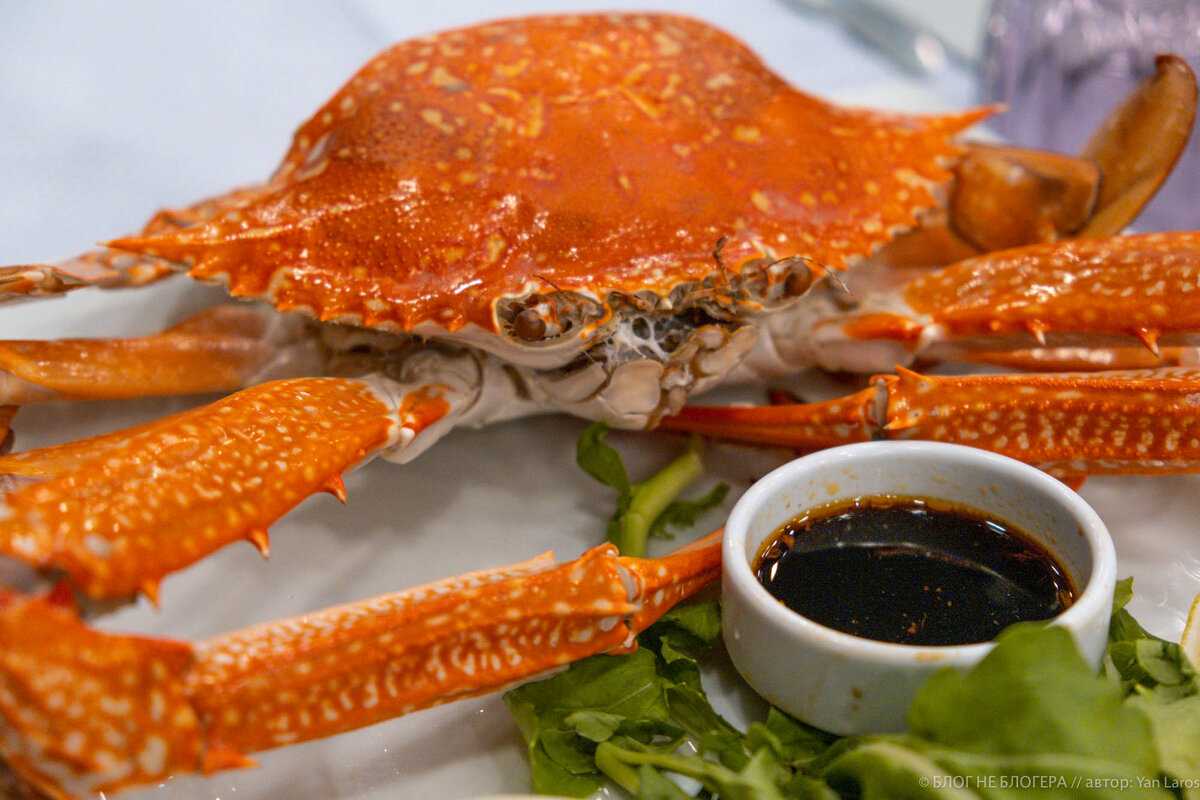Чем полезно крабовое мясо для мужчин