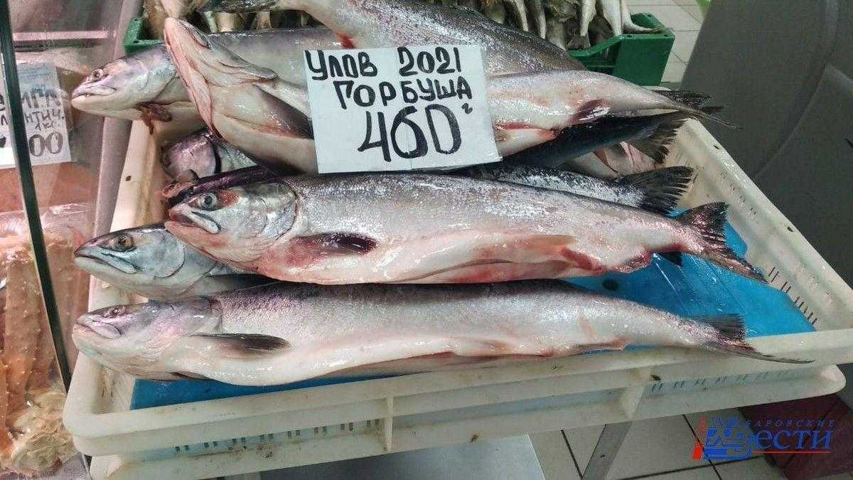 🚩 живая рыба опасна: почему не следует покупать ее в супермаркете