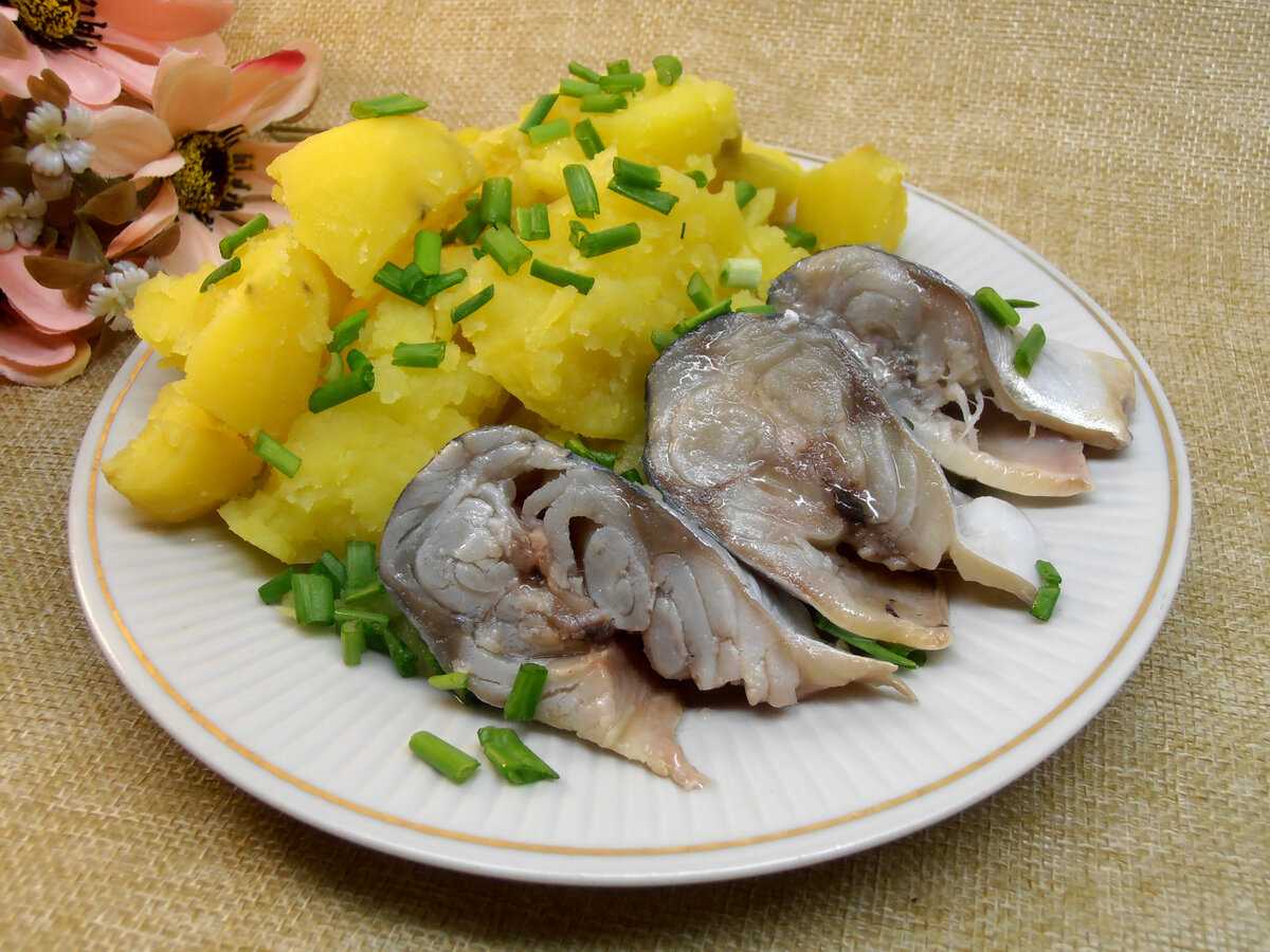 Очень вкусная скумбрия, соленая в домашних условиях: 9 простых рецептов