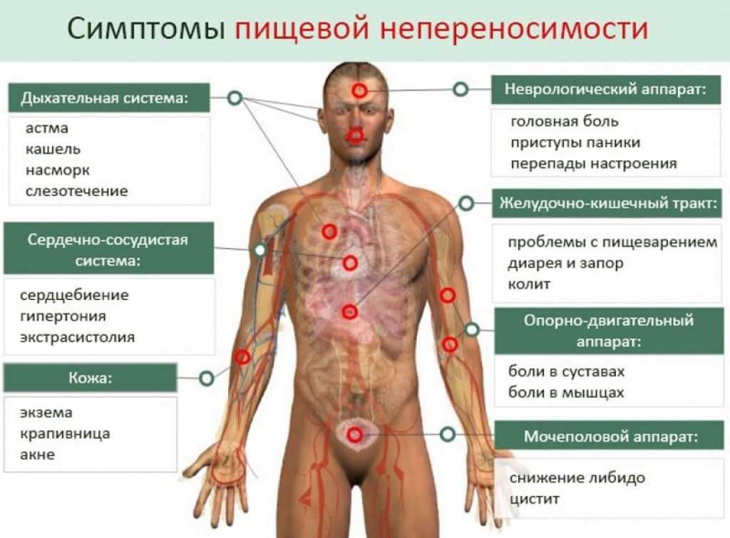 Иммунные реакции на пищу - пищевая аллергия разных типов - часть 2 | университетская клиника
