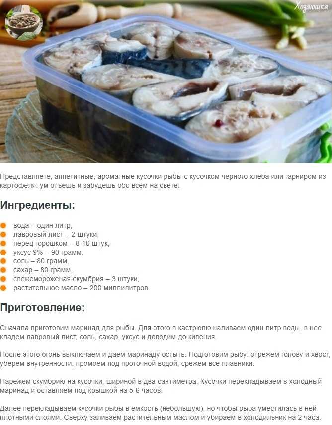 Скумбрия🐟 польза и вред, 15 свойств рыбы для организма, исследования