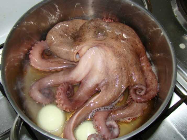 Рецепт осьминоги молодые: блюда с маленькими осьминогами: 18 рецептов что приготовить с маленькими осьминогами – блюда из молодых осьминогов — рецепты приготовления —  время есть – лучшая пицца в белгороде!