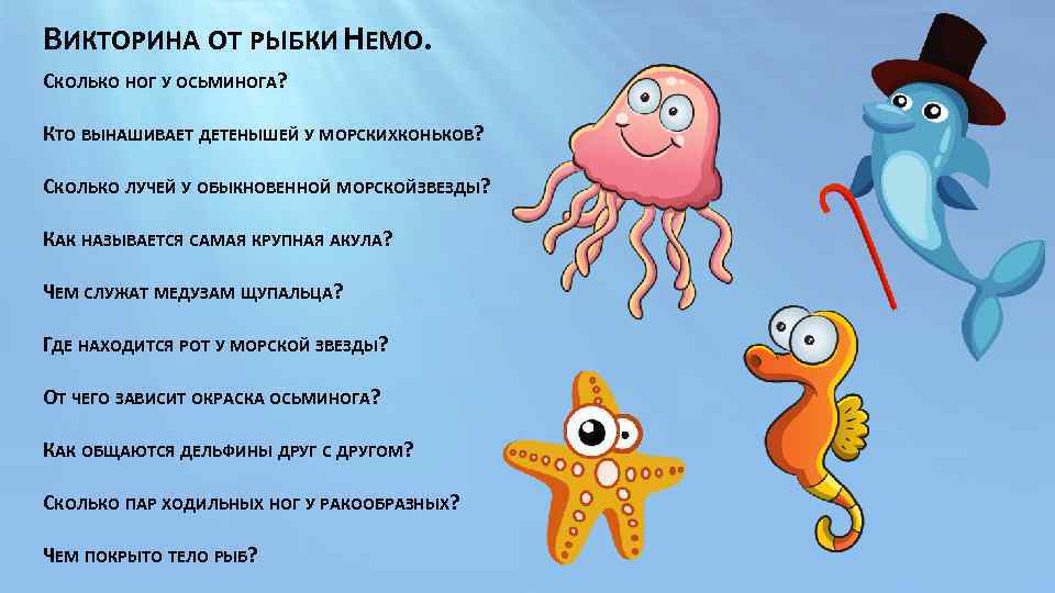 Краткая характеристика белой акулы. большая белая акула: характеристики и ареал