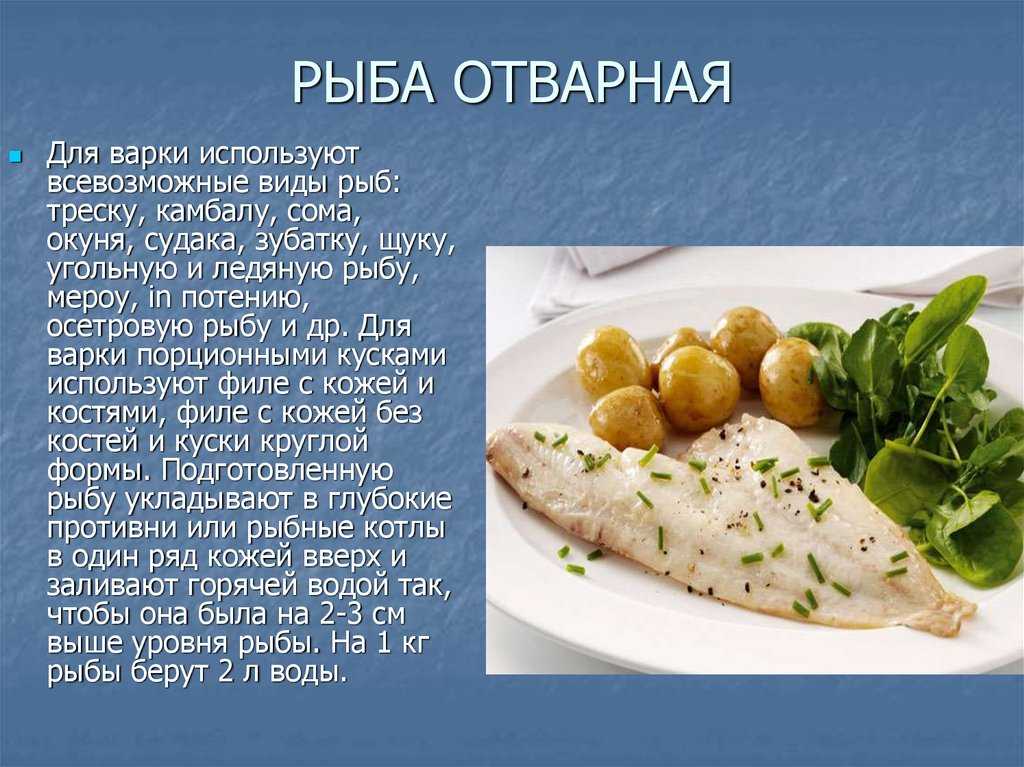 Варка и припускание рыбы - подготовка продуктов и технология приготовления - технология приготовления блюд и обработки продуктов для детского питания. - школьное питание - pitportal.ru – информационный портал