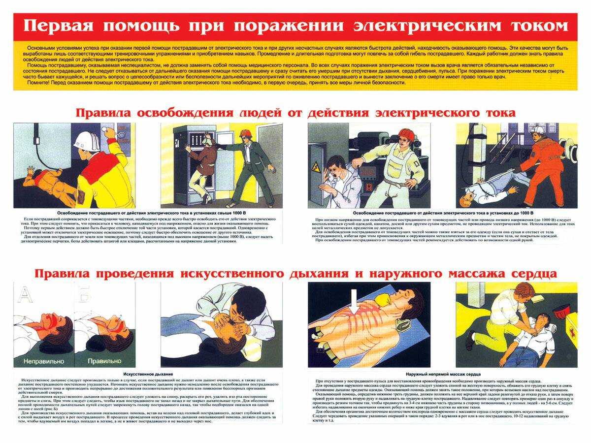Смертельное оружие и фантастический скелет: 7 фактов о рыбах скатах
