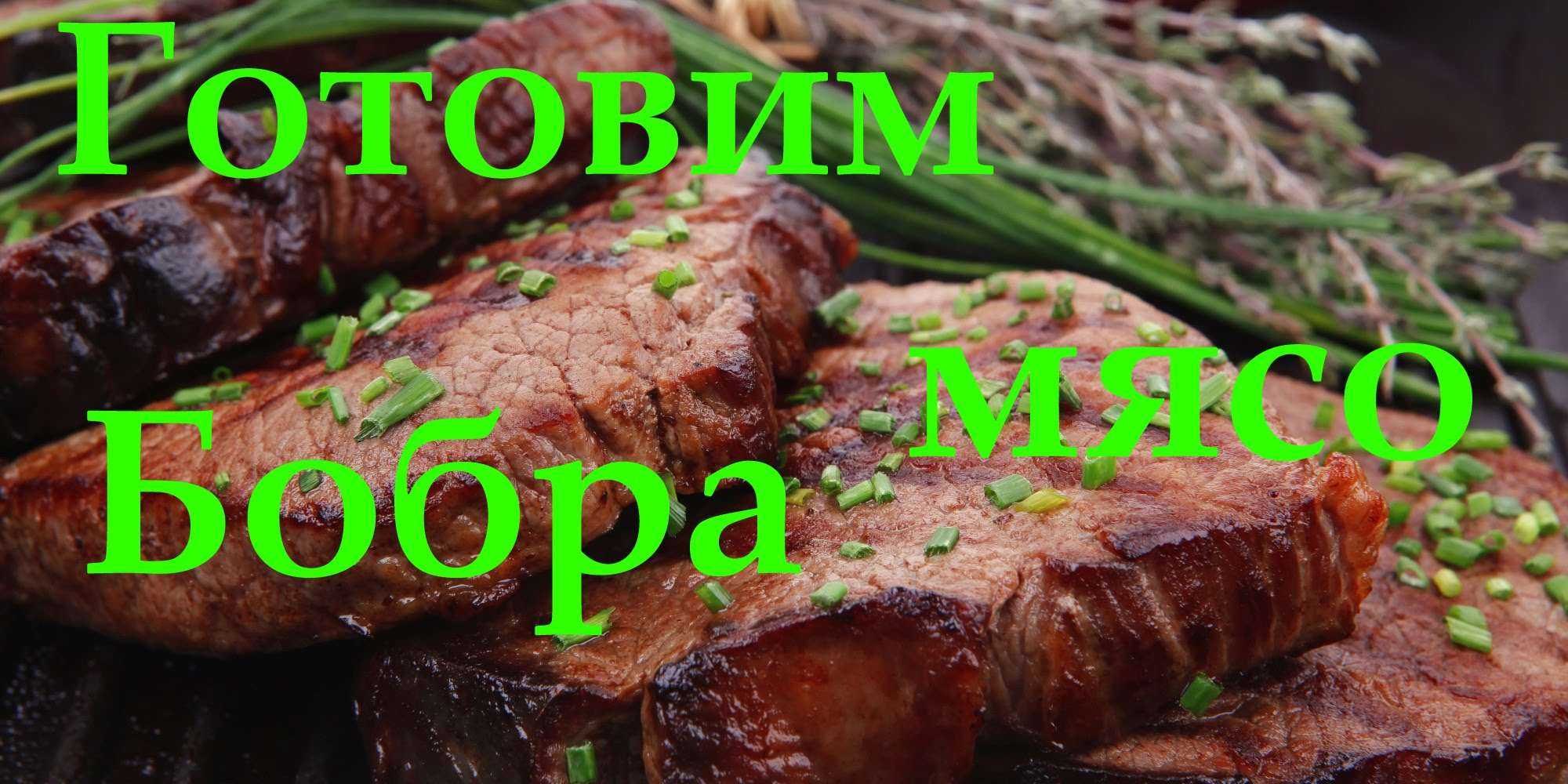 Как вымочить бобра перед приготовлением - инженер пто