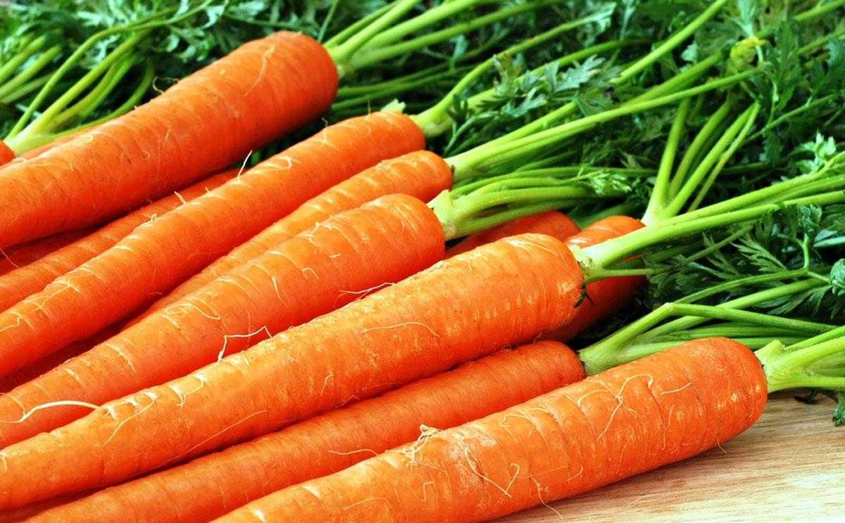 Щи из квашеной кислой капусты. о том, как приготовить вкусные щи из квашеной и свежей капусты…
