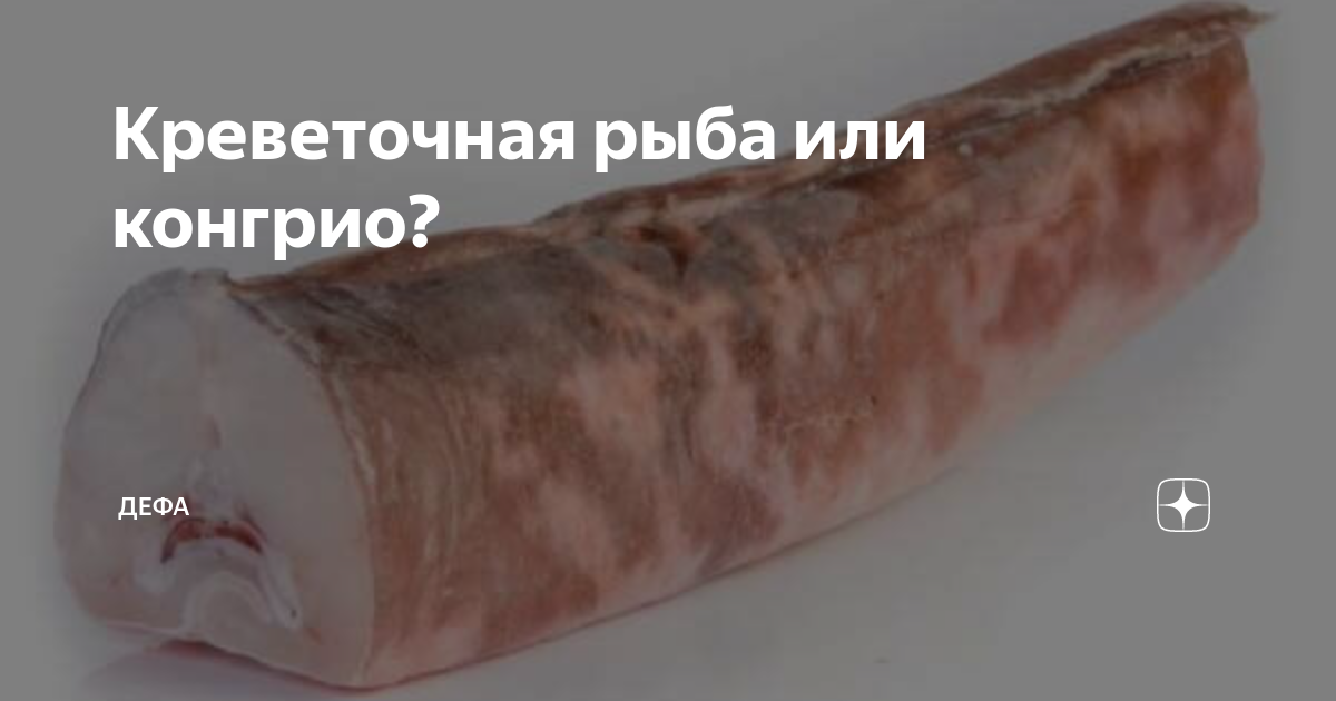 Макрурус — что это за рыба, где обитает, польза и вред, как готовить (+отзывы)