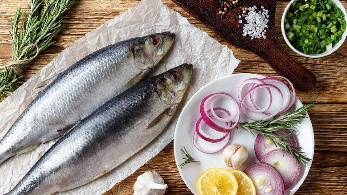 Каспийская сельдь: разрешена к вылову.