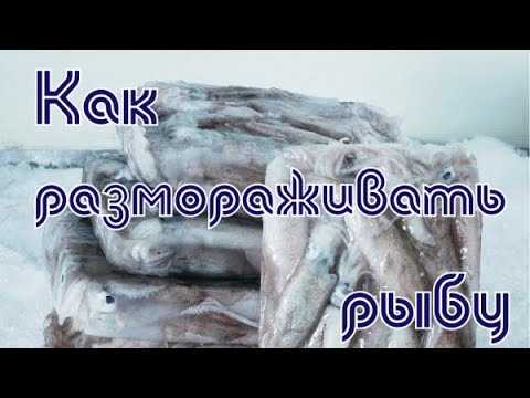 Как разморозить рыбу - быстрые и эффективные методы срочной разморозки рыбы в домашних условиях | sher.ru