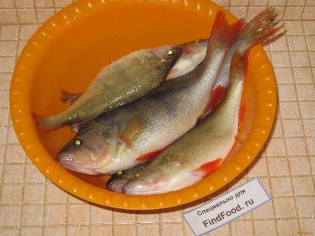 Сколько варить морского окуня: советы поваров