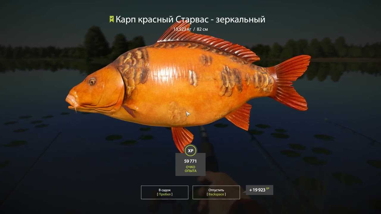 Зеркальный карп  фото, описание, ареал, питание, враги 
     > интересные факты о животных, птицах, растениях