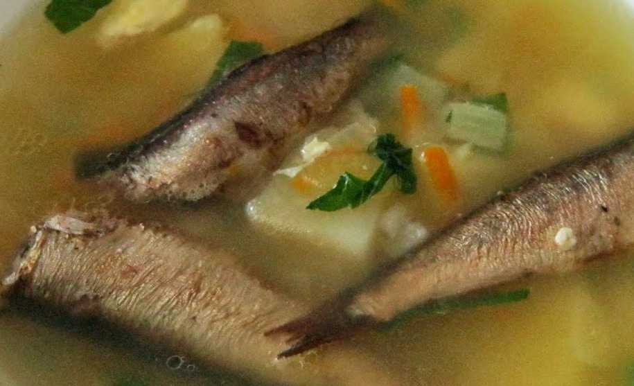 Сырный суп — 5 вкусных рецептов с плавленным сыром