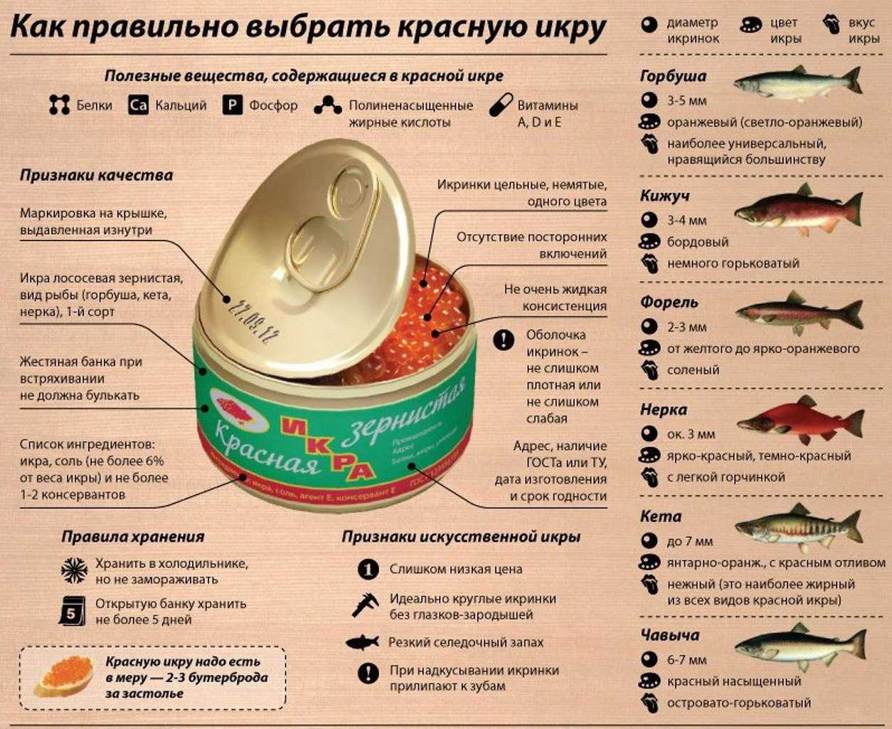 Самые ядовитые рыбы на земле: фото и описание