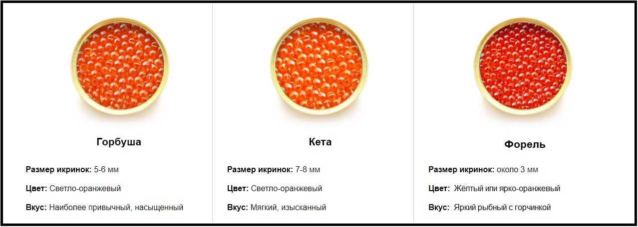 ✅ что лучше - кета или горбуша? как выбрать рыбу. что лучше горбуша или семга что - elpaso-antibar.ru