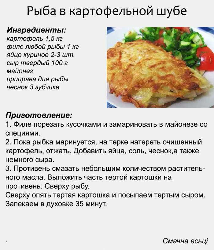 Рецепты салатов, первых блюд, закусок, вторых блюд, гарниров, закаток, выпечек, десертов и напитков | wowcook.net 
судак запеченный в духовке целиком, рецепт с фото | wowcook.net