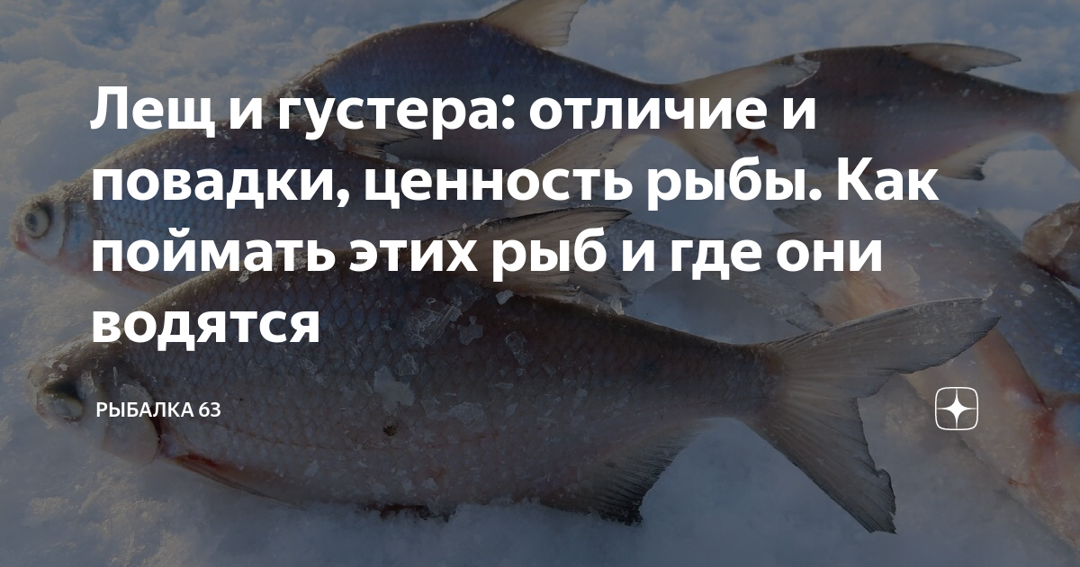 ✅ рыба похожая на леща - https://xn----7sbeepoxlghbuicp1mg.xn--p1ai/