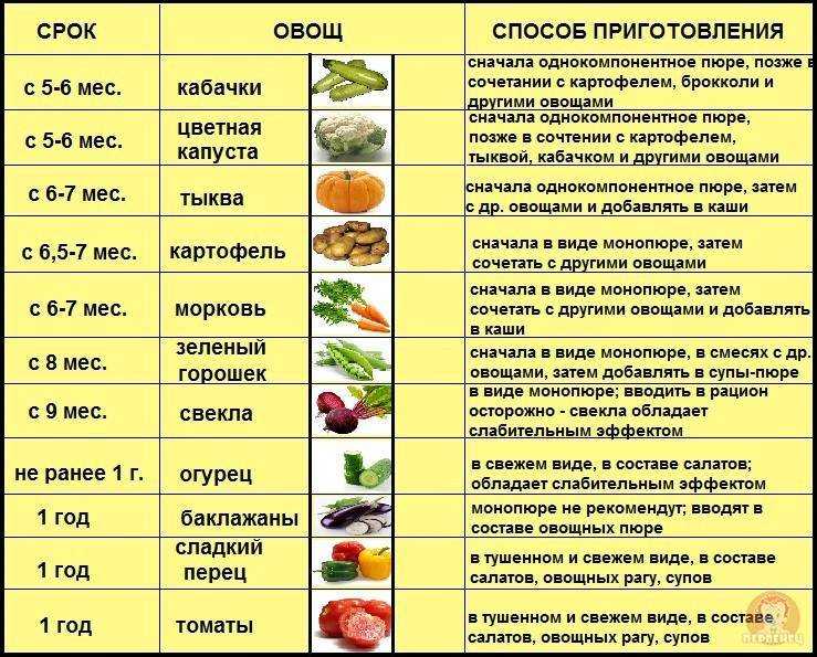 Баранина при грудном вскармливании: можно ли употреблять при гв кормящей маме и ребенку, как ввести в рацион новорожденного и на что обратить внимание при выборе?