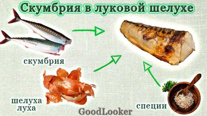 Скумбрия – полезные свойства и противопоказания, состав и калорийность