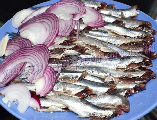 Как вкусно засолить хамсу в домашних условиях?