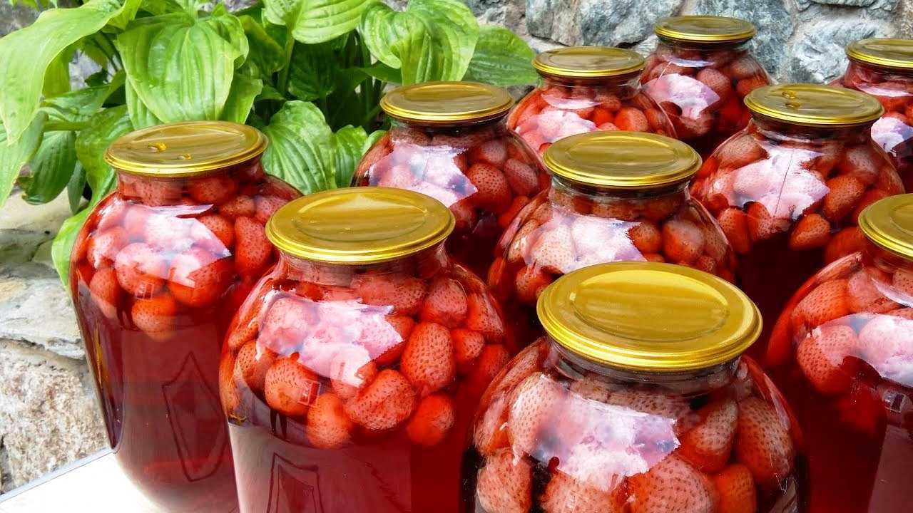 Облепиховый чай, как в любимом кафе: 7 лучших рецептов в домашних условиях
