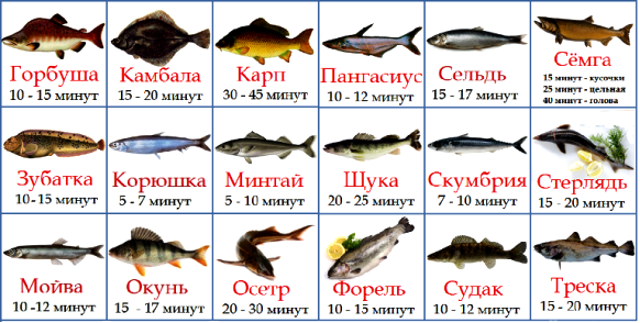 Как сварить морского окуня правильно: все секреты в одной статье
