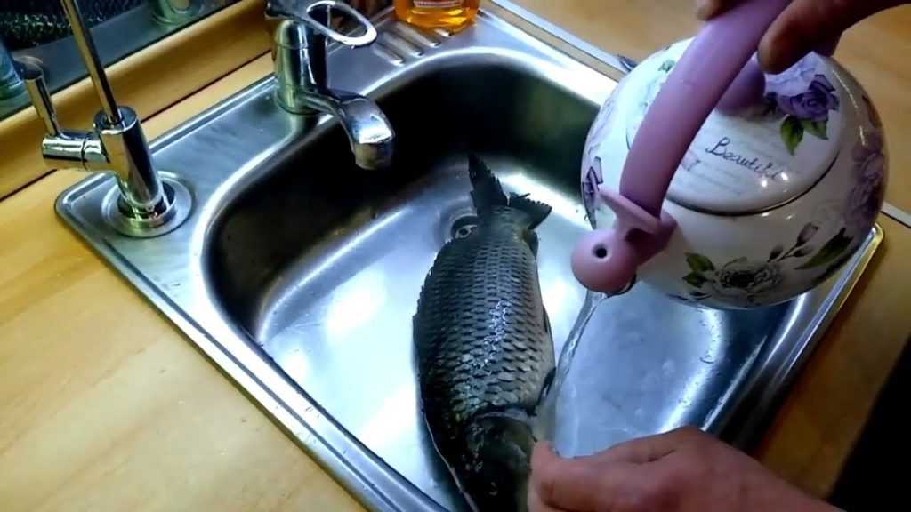 Лучшие способы очистить замороженную рыбу от чешуи