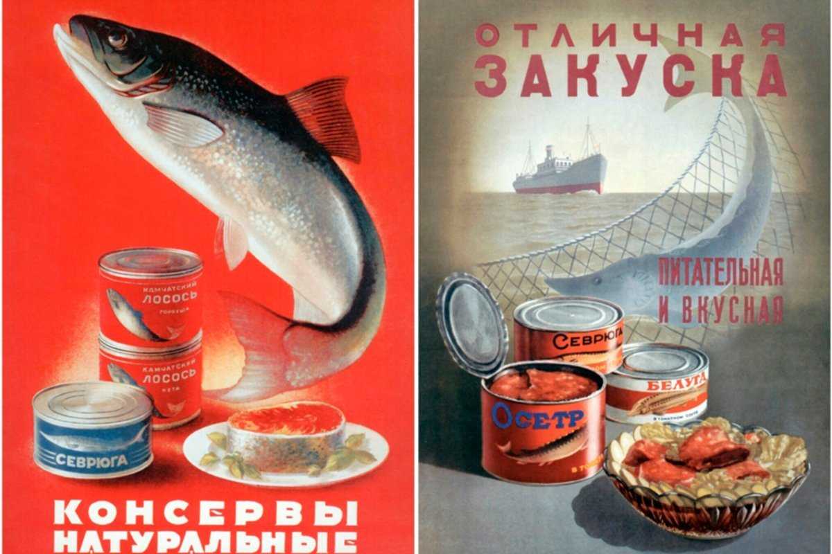 История рыбного дня в ссср: когда и почему он был проводим.