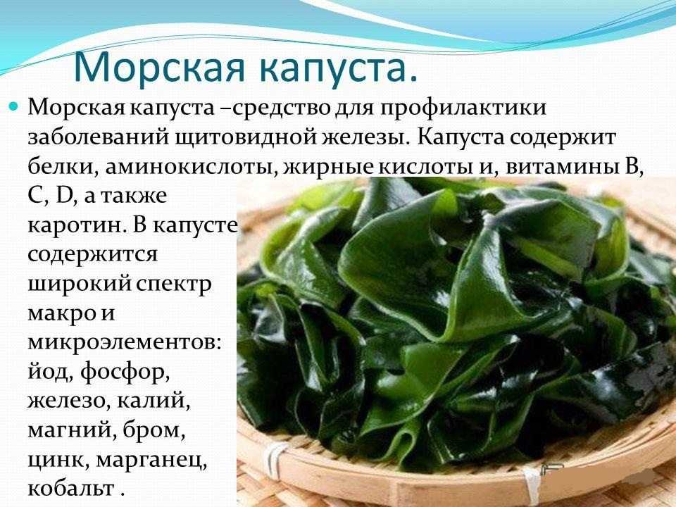 Блог от иоанныводоросли нори – польза для человека, состав, калорийность
водоросли нори – польза для человека, состав, калорийность