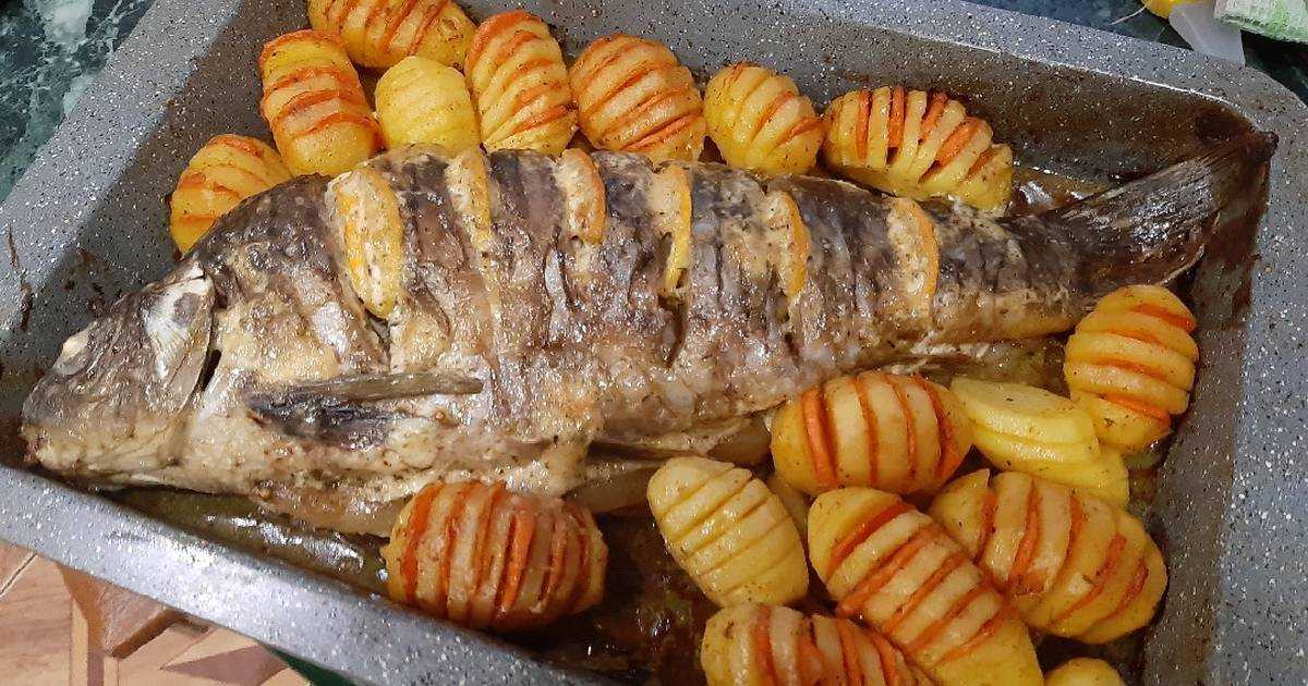 Как приготовить сазана?