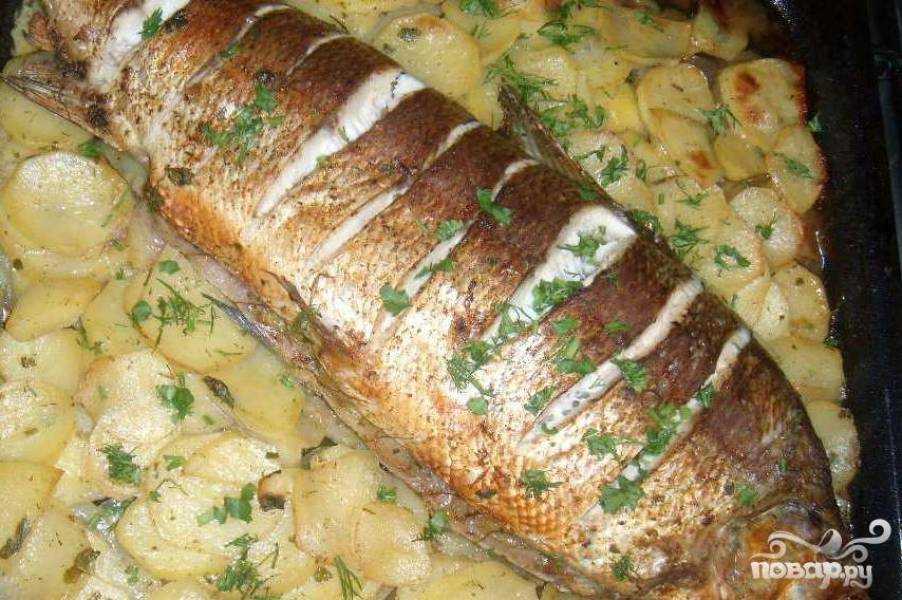 Белорыбица рецепты приготовления как приготовить вкусно - вкусная еда