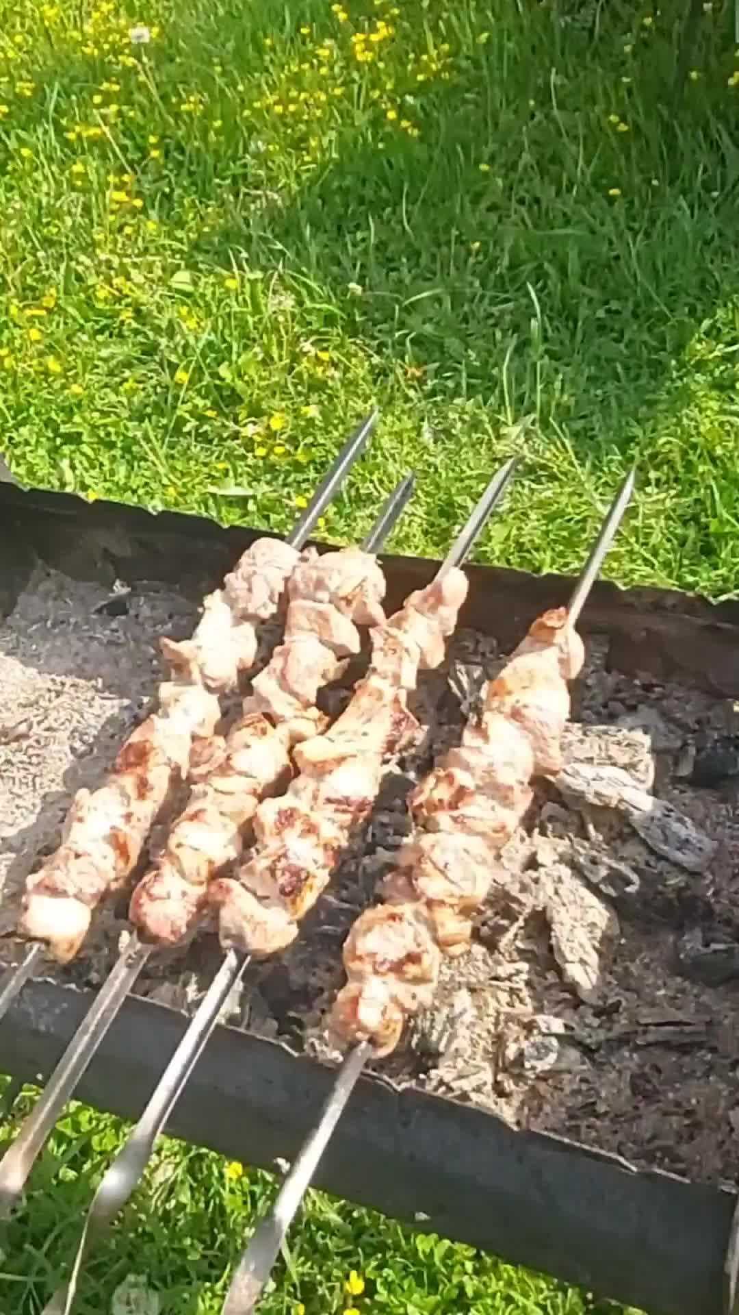 Шашлык из сазана, рецепт приготовления, быстро и вкусно