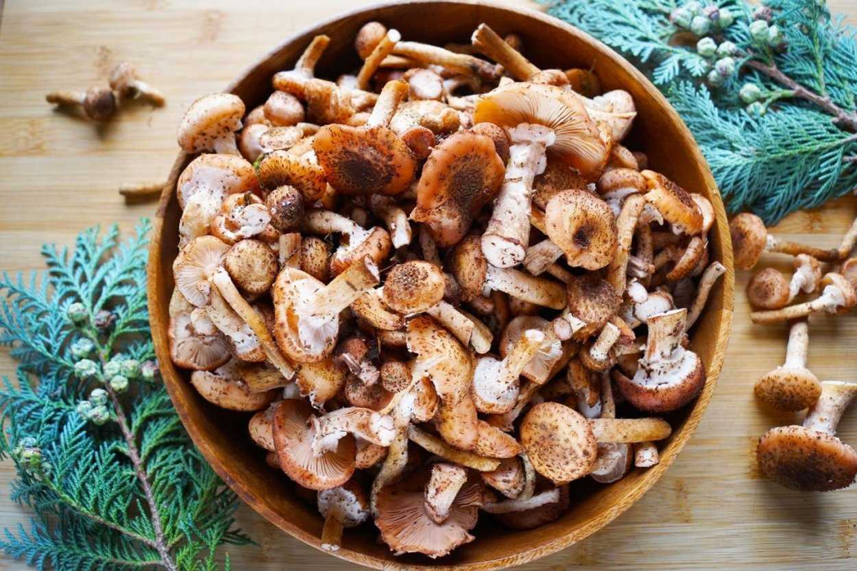Фунчоза с курицей и овощами пошаговый рецепт