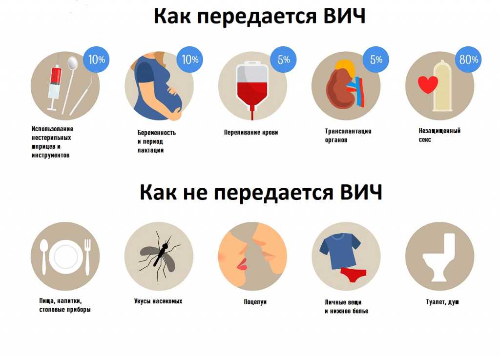 Ощущают ли ракообразные боль при вареных?