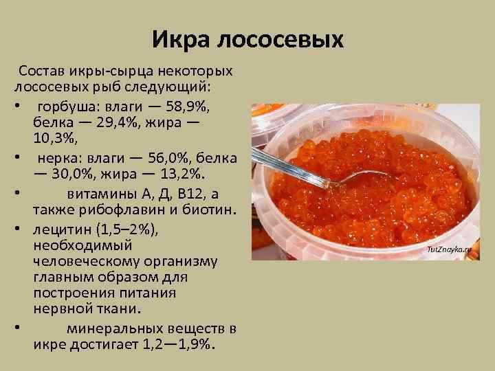 Горбуша – состав и калорийность рыбы, польза и вред