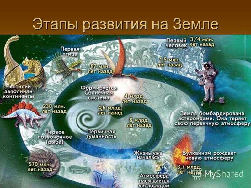 Этапы развития жизни на земле и современное биоразнообразие : farmf | литература для фармацевтов