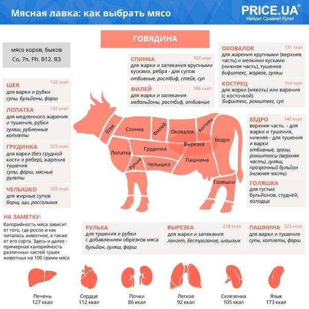 Части говядины названия и что из них готовят. самая мягкая