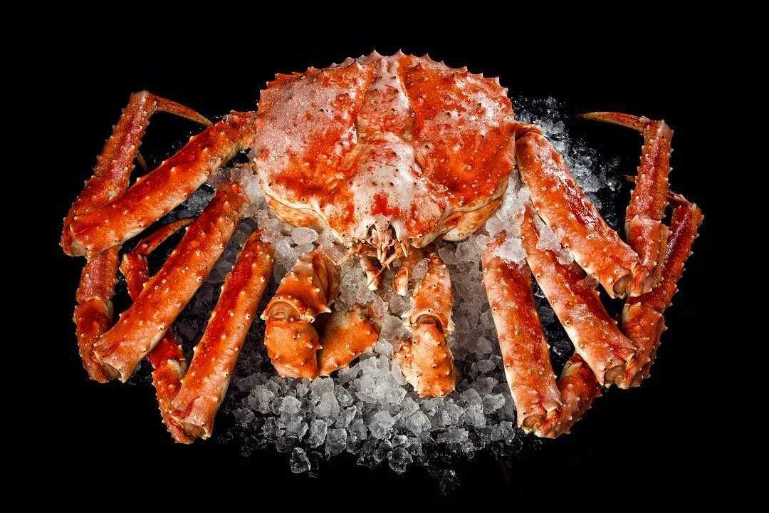 Краб — крабовое мясо, фото, виды и названия крабов | характеристика