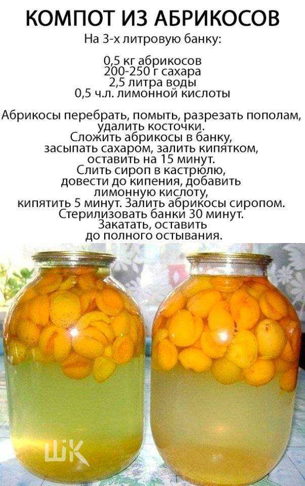 Топ 15 рецептов компота из абрикос с косточками и без на зиму, с сахаром и без
